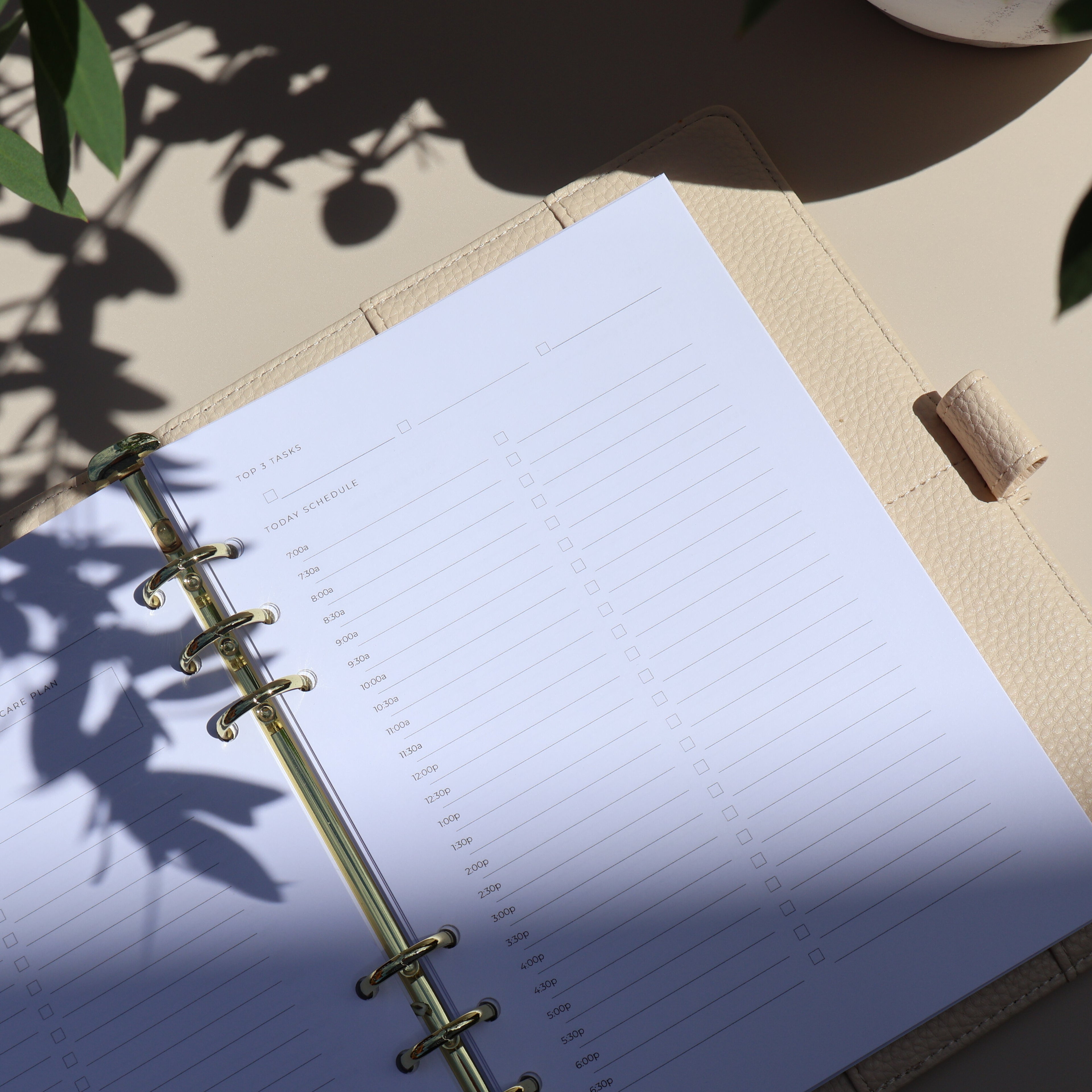Open notebook with lined pages on a textured surface with plant shadows
