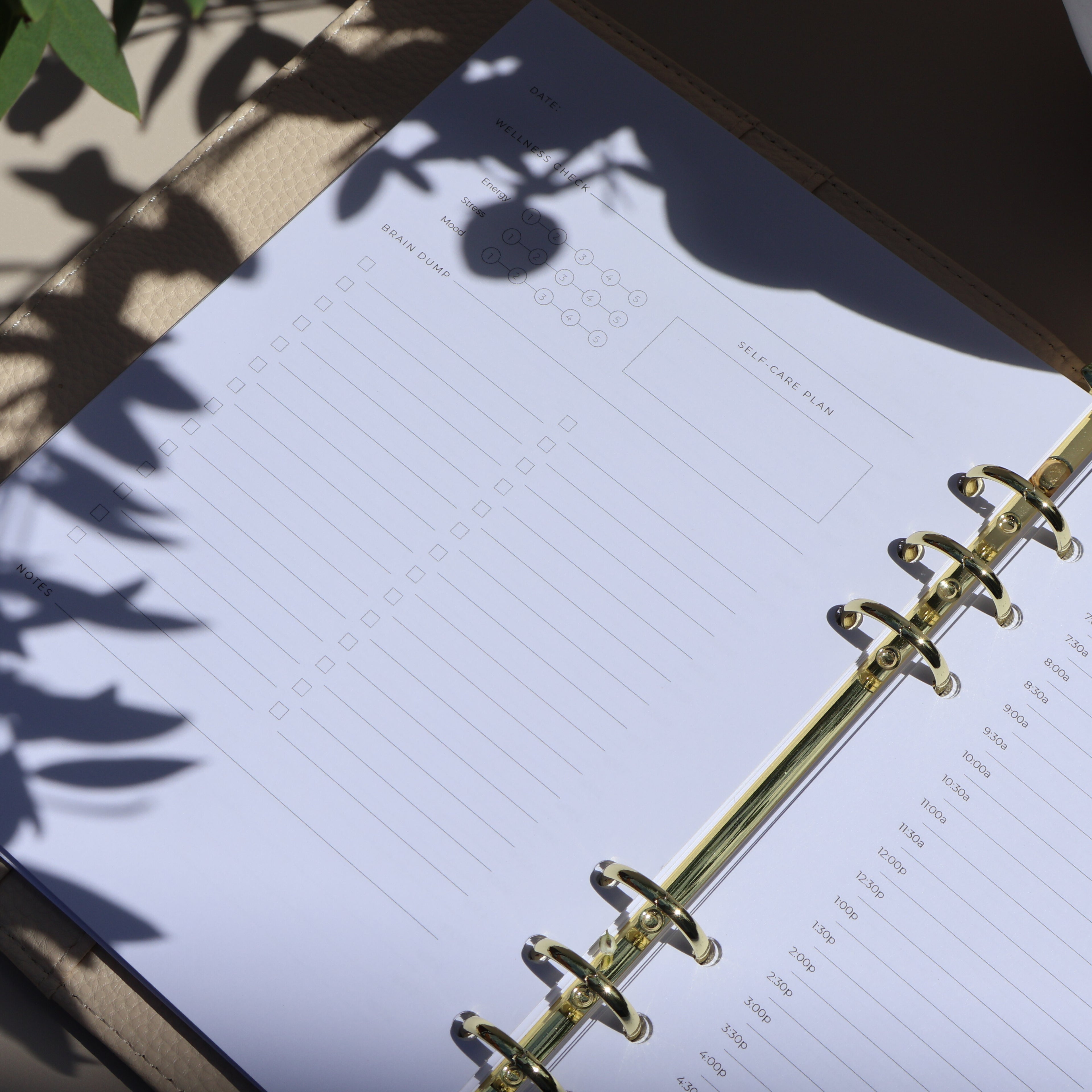 Open planner with gold binding on a surface with plant shadows